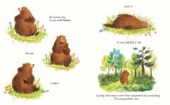 THE GRIZZLY ITCH
